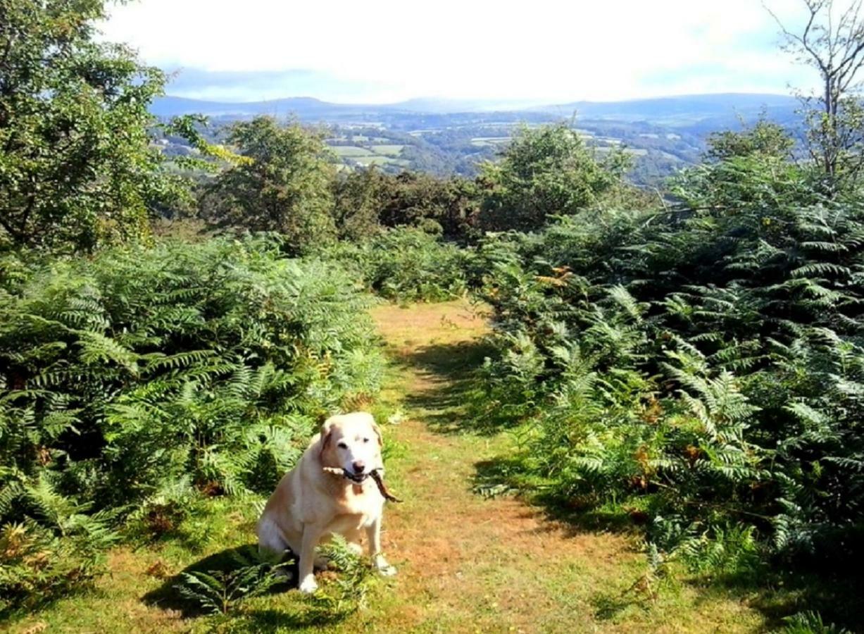 Heathergate Cottage Dartmoor Bnb 리드퍼드 외부 사진